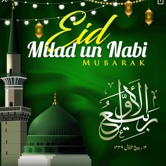 Meet your Posher, Madiha - Picture 1 of 1